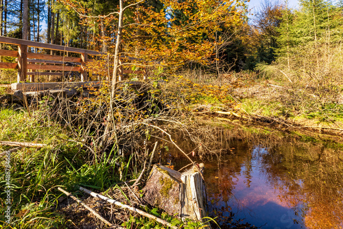 Brücke am Steinbach, der in den Fohn-See (Osterseen) mündet photo