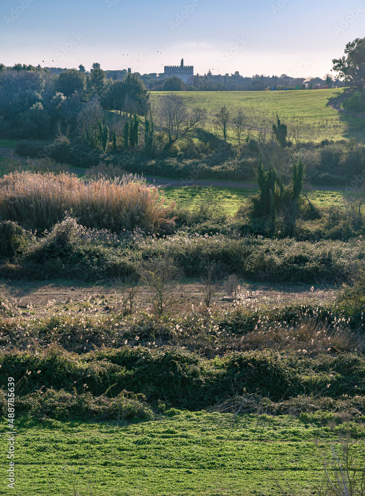 Obraz premium Vertical panorama of typical Italian countryside landscape in Caffarella Appian Way public park, an archeological site with ancient Roman ruins like the tomb of Caecilia Metella, Rome, Italy