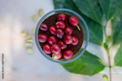 Red ripe arabica coffee berries, green coffee beands, leaves and roasted ground coffee in glass on marble table