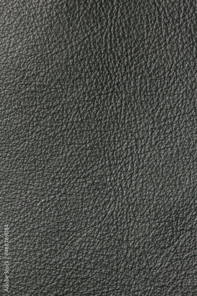 calfskin texture calfskin texture