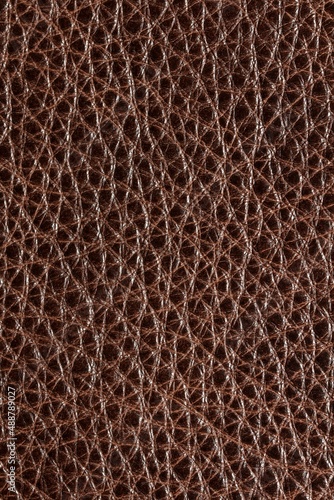 calfskin texture