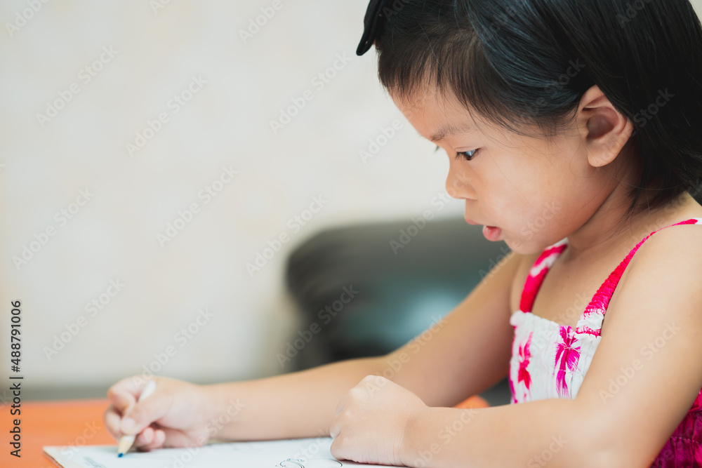 Portrait Asian kid girl are reviewing lessons or reading books during the promotion exam. Study hard. Empty space for enter text. Portrait Asian kid girl are reviewing lessons or reading books during the promotion exam. Study hard. Empty space for enter text.