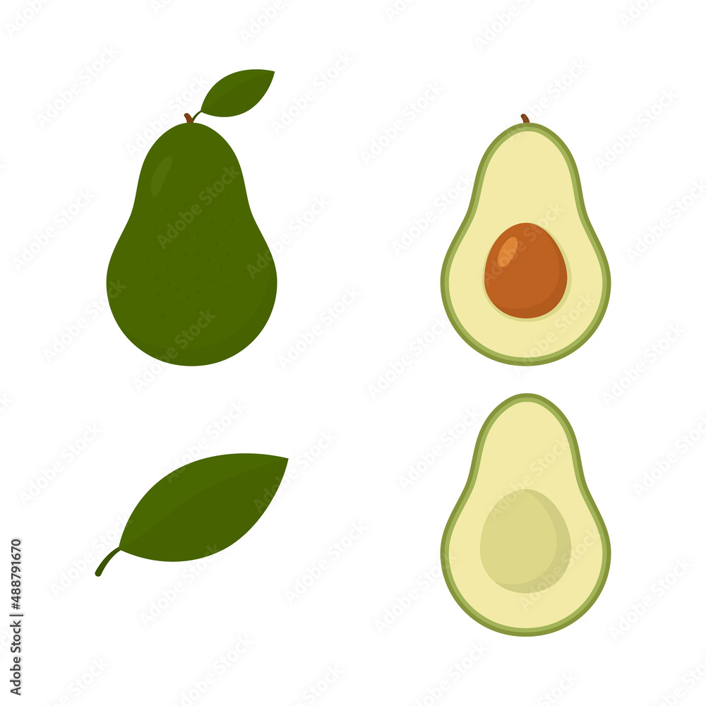 Set of half and whole of green avocado. Cute fresh avocado collection. Vector isolated on white. Set of half and whole of green avocado. Cute fresh avocado collection. Vector isolated on white.