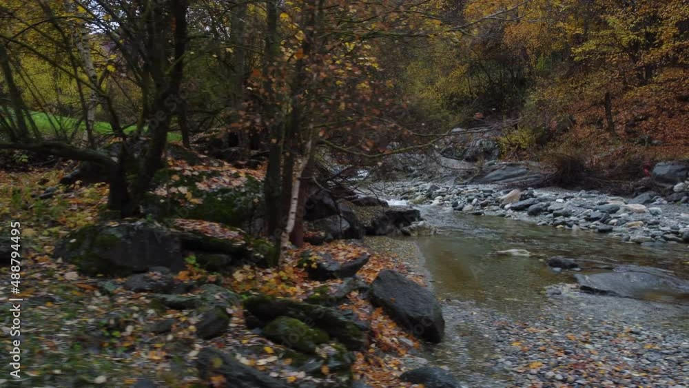 Mountain river water flow with red and yellow trees autumn foliage aerial view Mountain river water flow with red and yellow trees autumn foliage aerial view