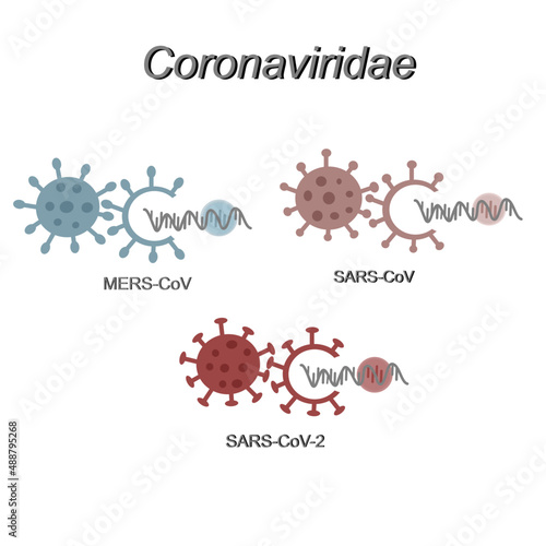 The important members of Coronaviruses  family (Coronaviridea): MERS-CoV, SARS-CoV and SARS-CoV-2. The picture show different structure of viral molecules. photo