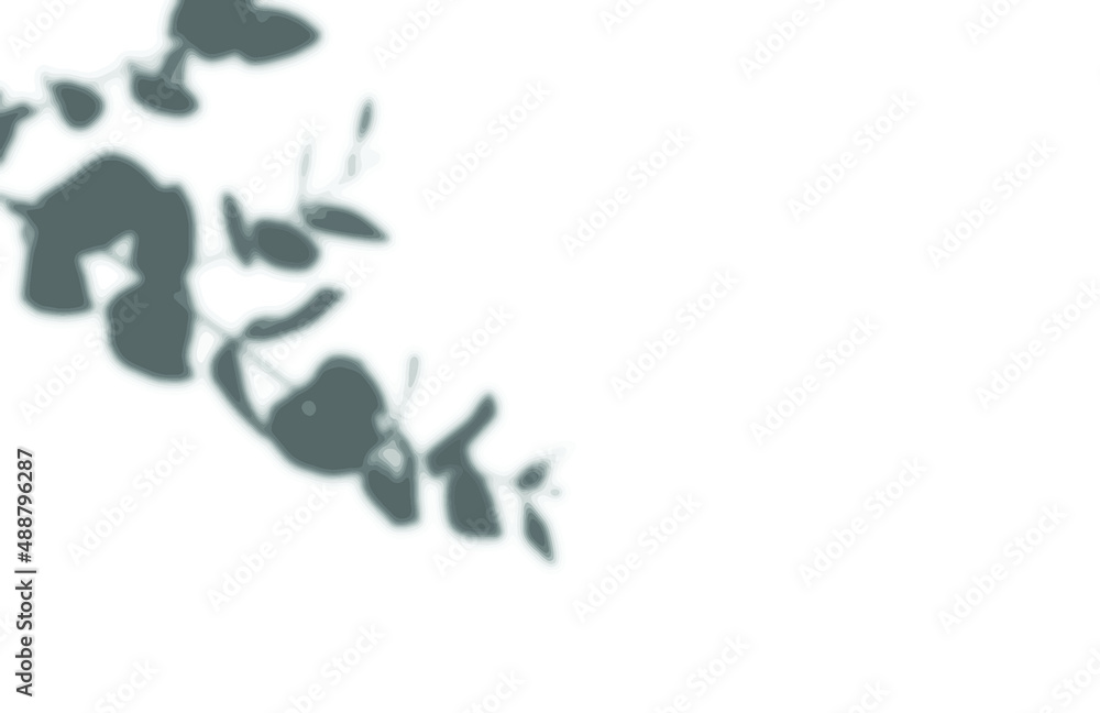 shadow overlay vector isolated on transparent background for presentations and mock ups, minimal tropical plants and window frame scene, indoor light effect with sunshine and rays shadow overlay vector isolated on transparent background for presentations and mock ups, minimal tropical plants and window frame scene, indoor light effect with sunshine and rays
