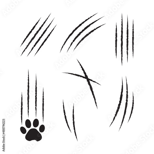 Claw cat scratch, slash vector icon, paw mark set isolated on white background. Animal simple illustration photo