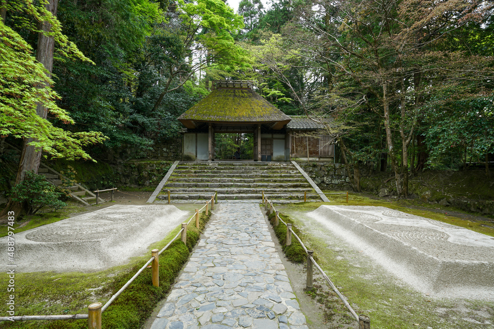 初夏の法然院の風景 初夏の法然院の風景