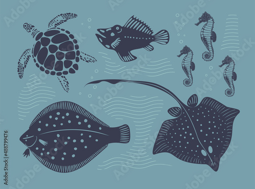 Hand drawn vector collection with sea creatures. Turtle, stingray, flounder and seahorses. Ocean monochrome set. Hand drawn illustration.