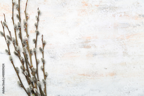 Beautiful spring branches o...