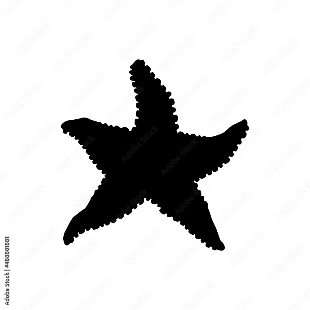 Starfish. Vector silhouette wild ocean animal mollusk underwater life doodle isolated illustration. Starfish. Vector silhouette wild ocean animal mollusk underwater life doodle isolated illustration.
