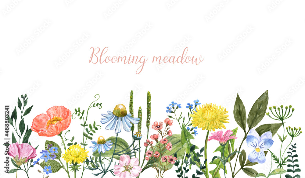 Watercolor wildflowers horizontal border. Floral frame illustration on white background. Summer meadow background. Botanical invitation template.