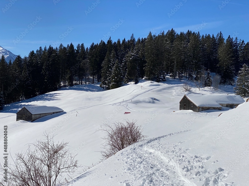 Indigenous alpine huts and wooden cattle stables on Swiss pastures covered with fresh white snow cover, Alt St. Johann - Obertoggenburg, Switzerland (Schweiz) Indigenous alpine huts and wooden cattle stables on Swiss pastures covered with fresh white snow cover, Alt St. Johann - Obertoggenburg, Switzerland (Schweiz)