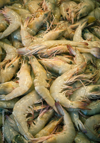 Fresh shrimps at the market