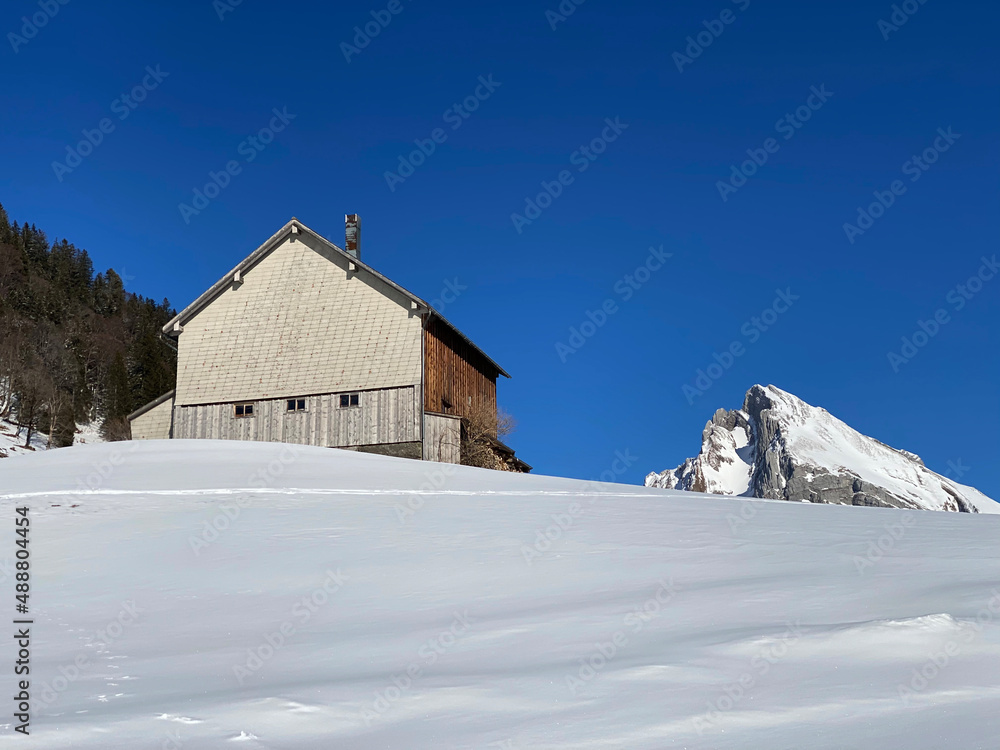 Indigenous alpine huts and wooden cattle stables on Swiss pastures covered with fresh white snow cover, Alt St. Johann - Obertoggenburg, Switzerland (Schweiz)
