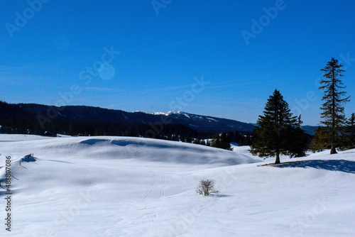 Paysage enneigé dans le Jura, dans la Réserve Naturelle Nationale de la Haute-chaîne du Jura