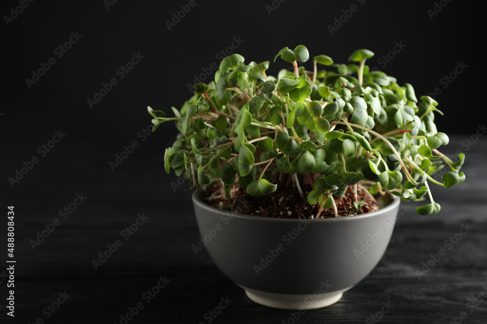 Fresh radish microgreens in bowl on black wooden table, space for text