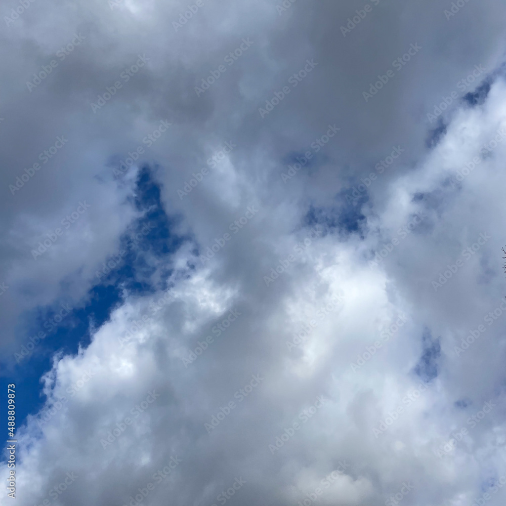 blue cloudy sky on a spring day blue cloudy sky on a spring day