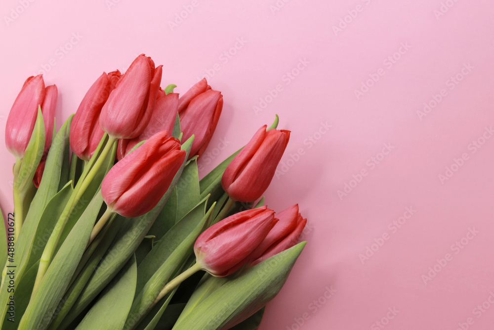 Bouquet of red tulips on a pink background, close-up, top view. Congratulations on the holiday, space for copying Bouquet of red tulips on a pink background, close-up, top view. Congratulations on the holiday, space for copying