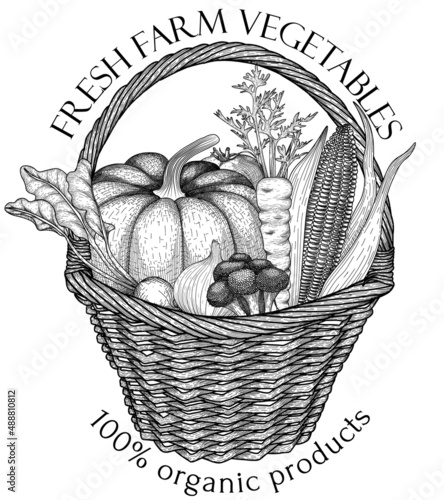 Vector banner template with a basket with a harvest of vegetables. Graphic Linear Wicker basket, pumpkin, corn, carrot, broccoli, onion, tomato, radish