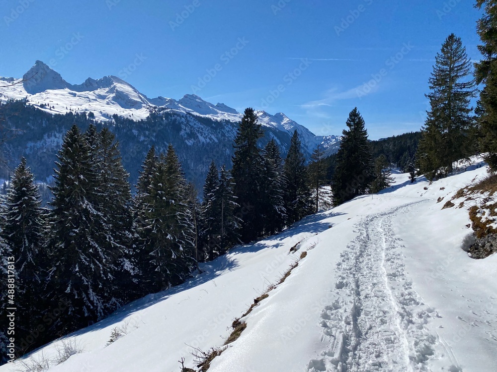 Fototapeta premium Wonderful winter hiking trails and traces on the slopes of the Alpstein mountain range and in the fresh alpine snow cover of the Swiss Alps - Alt St. Johann, Switzerland (Schweiz)