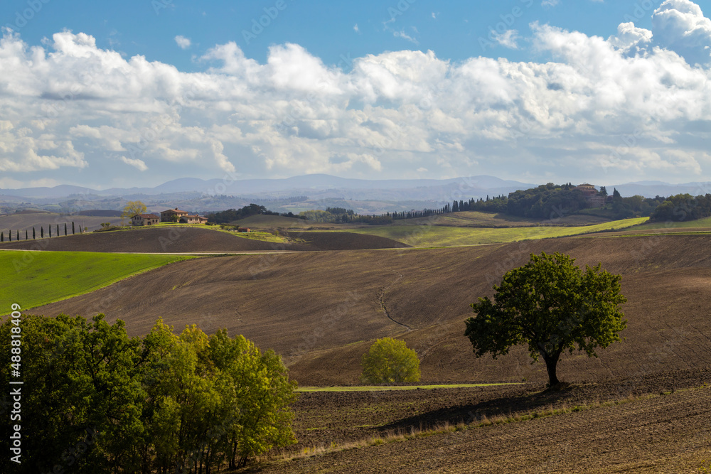 Typical Tuscan landscape near Siena, Tuscany, Italy