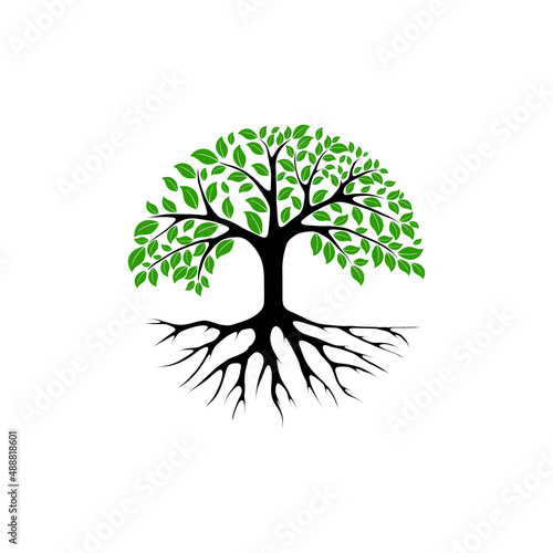 Trees and root with green leaves look beautiful and refreshing. Tree and roots LOGO style.