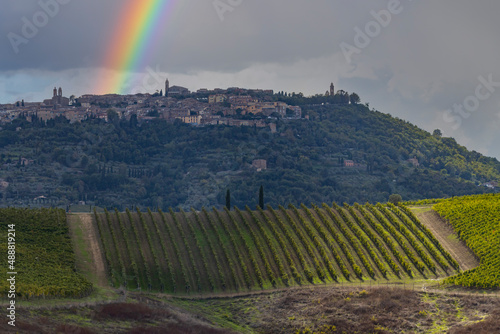 Typical Tuscan landscape with vineyard near Montalcino, Tuscany, Italy