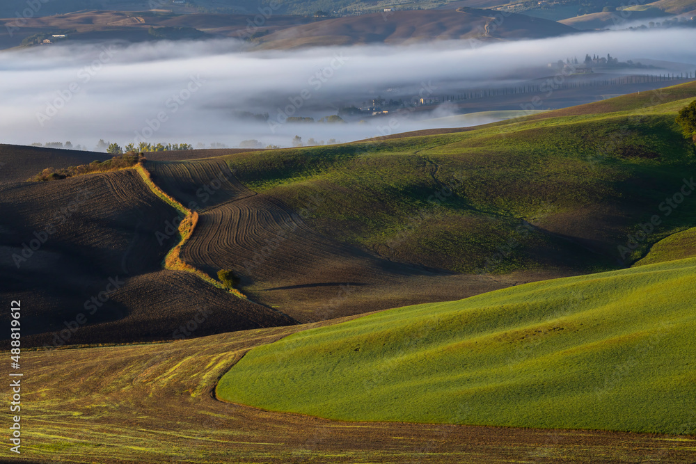 Typical Tuscan morning autumn landscape, Val D'Orcia, Tuscany, Italy