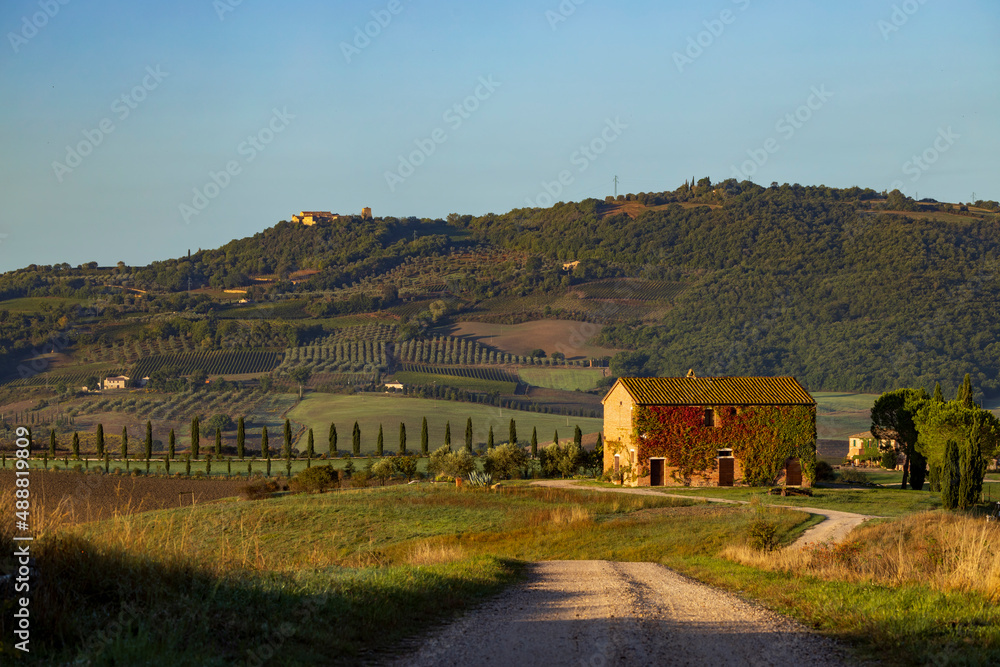 Typical Tuscan morning autumn landscape, Val D'Orcia, Tuscany, Italy Typical Tuscan morning autumn landscape, Val D'Orcia, Tuscany, Italy