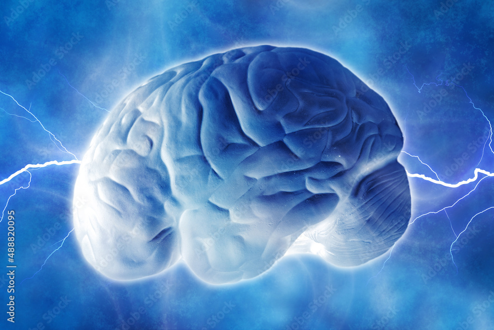 human brain and electric waves, concept for neuroscience and brain neurology human brain and electric waves, concept for neuroscience and brain neurology