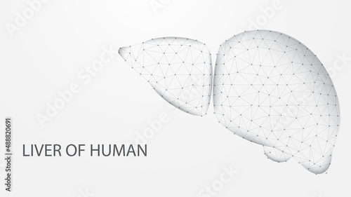 Liver of human anatomy structure line connection. Low poly wireframe design. Abstract geometric background. vector illustration.