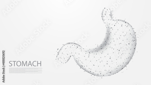 Stomach of human anatomy structure line connection. Low poly wireframe design. Abstract geometric background. vector illustration.