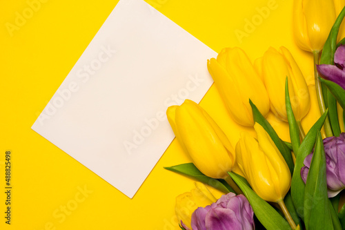 Fototapeta Naklejka Na Ścianę i Meble -  Greeting card mockup with colorful tulips. Easter,mother's day,women's day etc