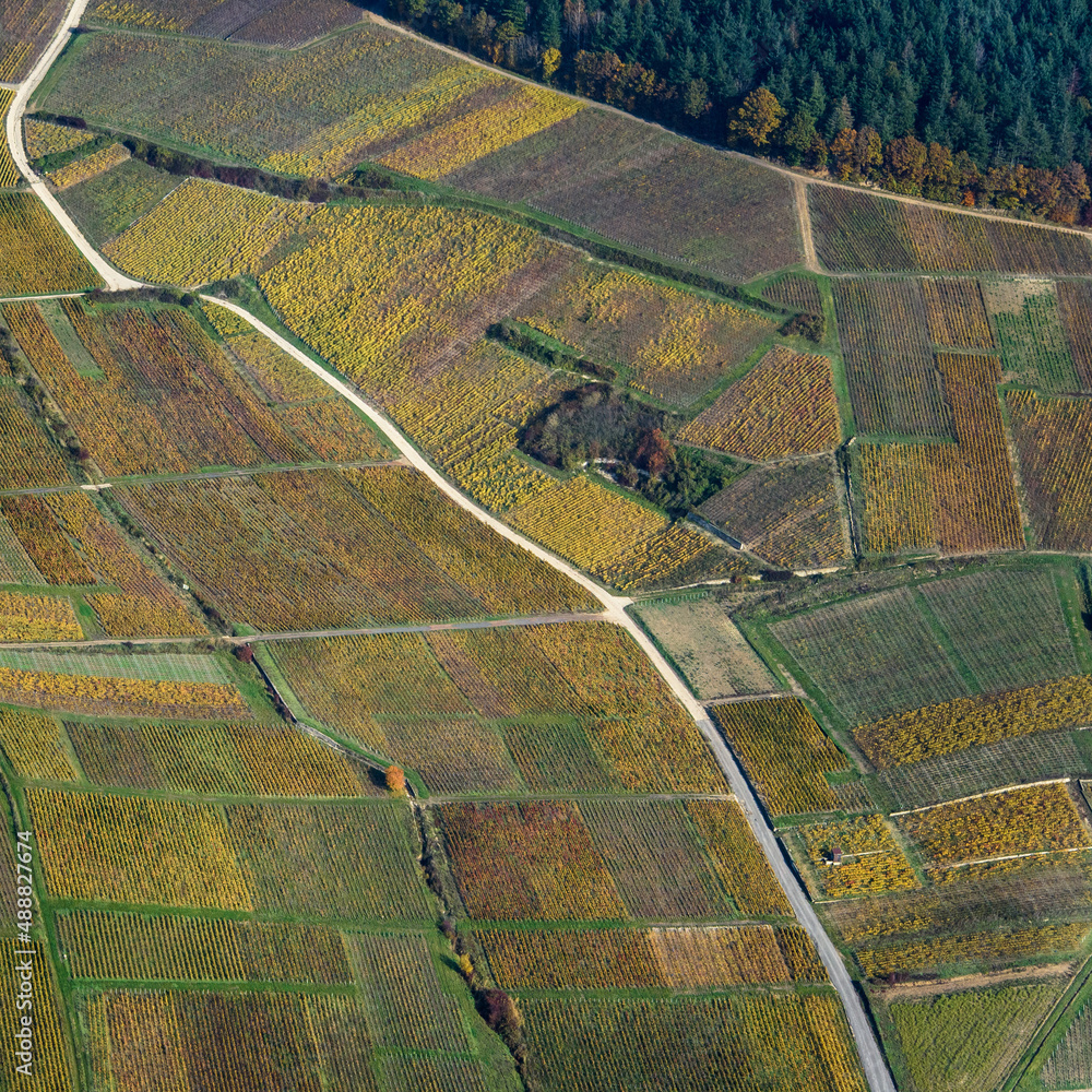 vue aérienne des vignes de champagne à l'automne à Cumières dans la Marne en France