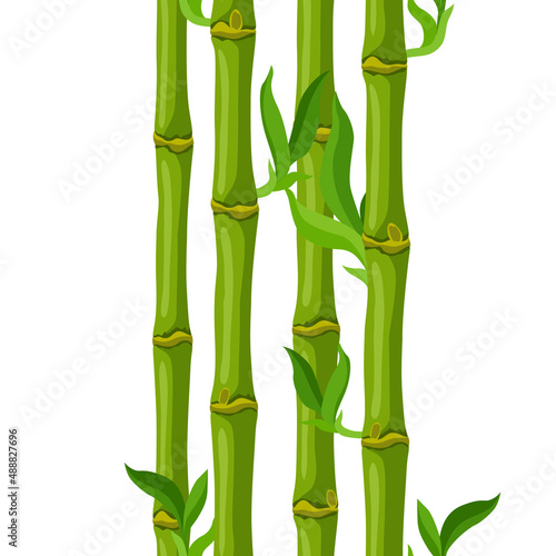 Seamless pattern with green bamboo stems and leaves. Decorative exotic plants of tropic jungle.