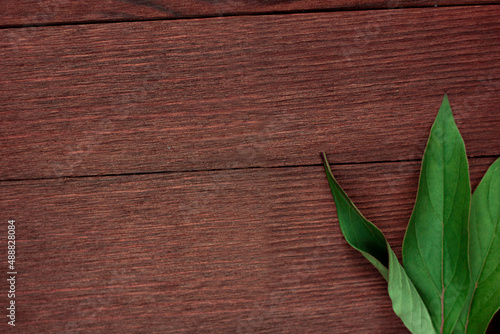 Wooden background with green leaves. Place for text. Banner 