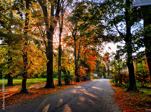 A quiet street at dusk with sun rays penetrate through trees