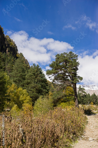 Breathtaking panorama of morning wild nature high in mountains