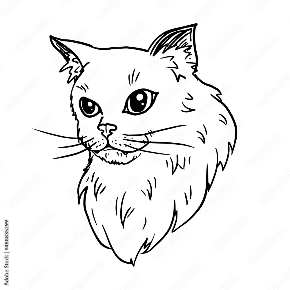 Obraz premium Cat sketch vector illustration isolated on white background
