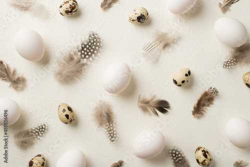 Top view photo of easter decorations partridge feathers and easter eggs on isolated white background