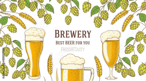Beer glasses and hops. Brewery design template. Beer hop illustration. Hand drawn design. Beer ingredients vector illustration.