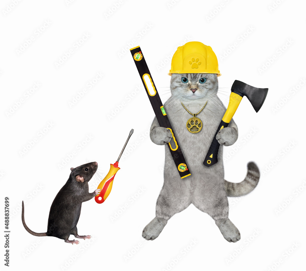 An ashen cat builder in a helmet with an axe and a building level is near a rat with a screwdriver. White background. Isolated. An ashen cat builder in a helmet with an axe and a building level is near a rat with a screwdriver. White background. Isolated.