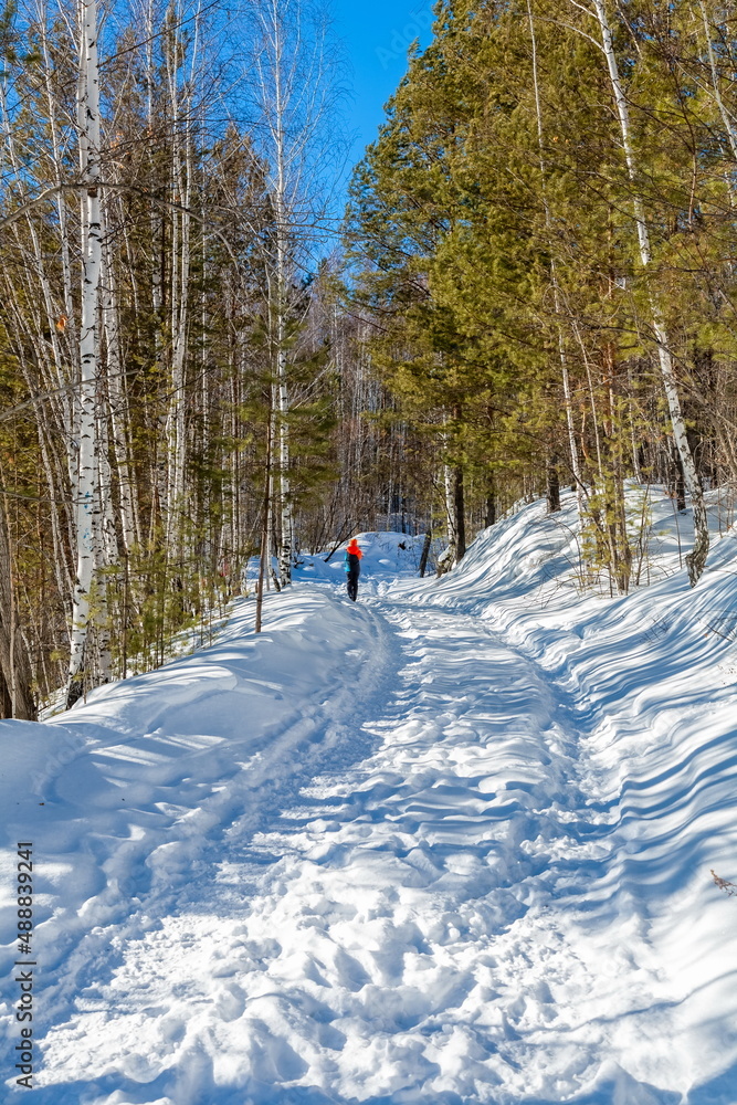 Fototapeta premium The road between the trees on the mountainside against the blue sky in winter