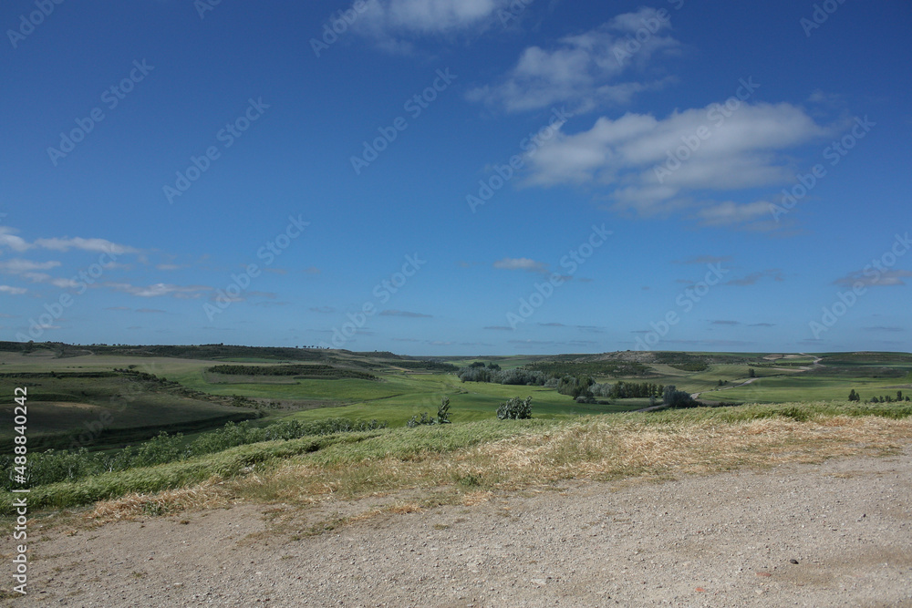 Fototapeta premium Landscape view of the meadows of castilla, Spain, under a blue sky with a few clouds of spring