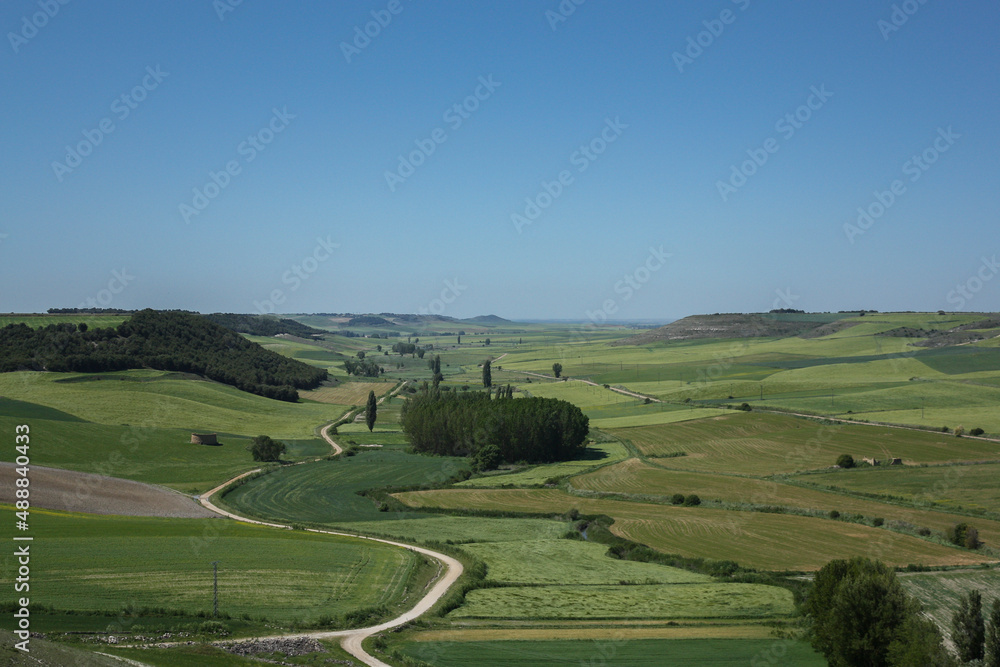 Landscape view of vegetation in the meadows of Castilla in Spain on a sunny spring day