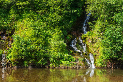 small waterfall stream in the forest. refreshing scenery in summer. beautiful nature background. reflection in crystal clear water of the river pool