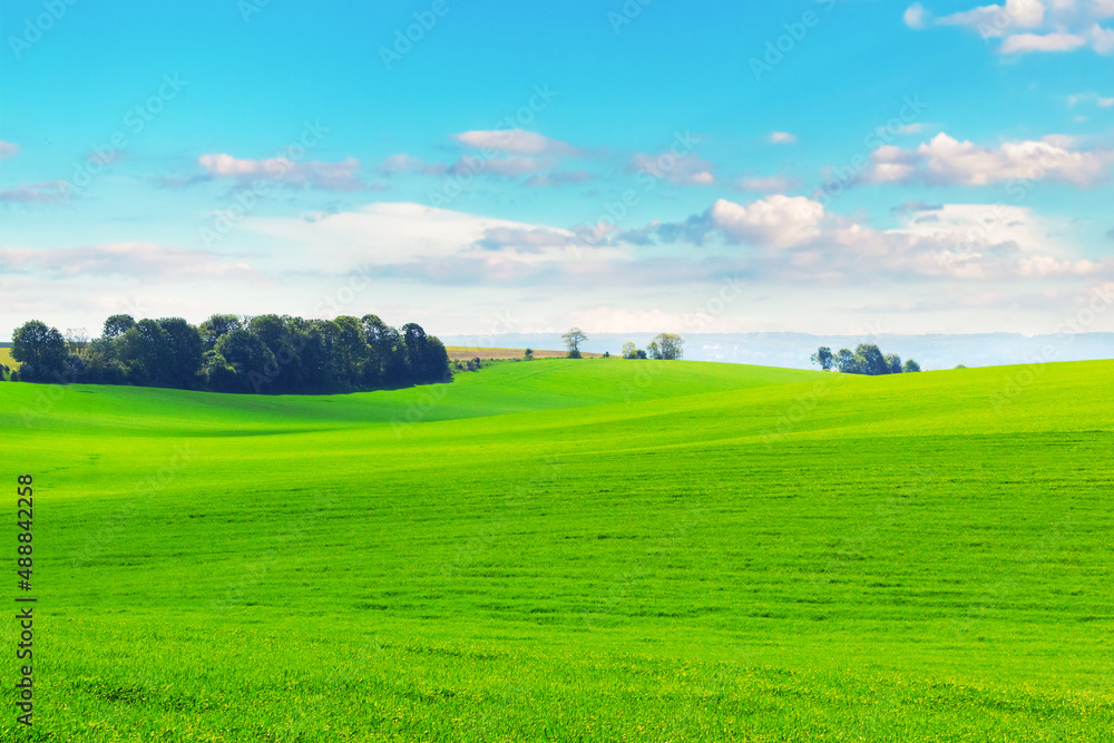 Spring field with tender green grass and picturesque blue sky with white clouds, rural view Spring field with tender green grass and picturesque blue sky with white clouds, rural view
