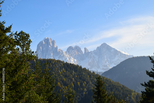 Green forest in front of snowy mountains in the dolomites