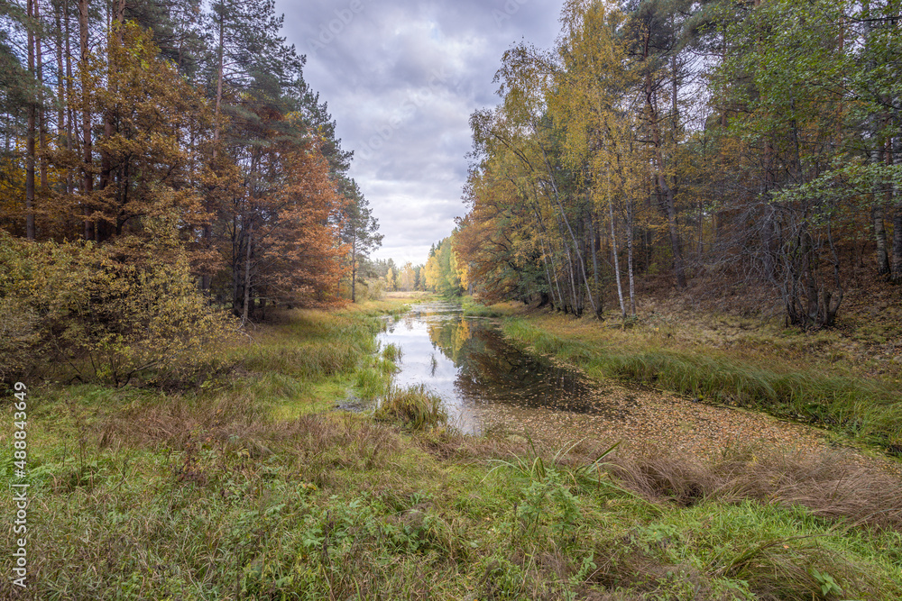 Bright autumn foliage on trees in yellow, red, orange and green colors. Cloudy weather in the forest Idyllic autumn landscape. Clean nature, ecology, seasons, environmental protection. Bright autumn foliage on trees in yellow, red, orange and green colors. Cloudy weather in the forest Idyllic autumn landscape. Clean nature, ecology, seasons, environmental protection.